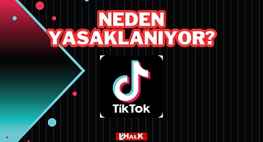 TikTok'un Yasaklandığı Ülkeler ve Nedenleri