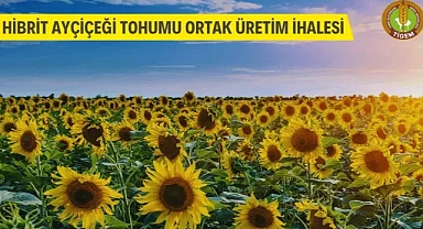 Hibrit Ayçiçeği Tohumu Ortak Üretim İhalesi