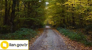 Orman Yolu Yapım İhalesi