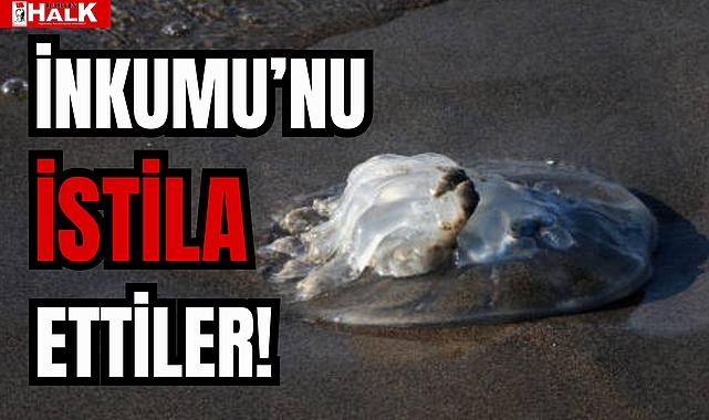 İNKUMU'NU İSTİLA ETTİLER!