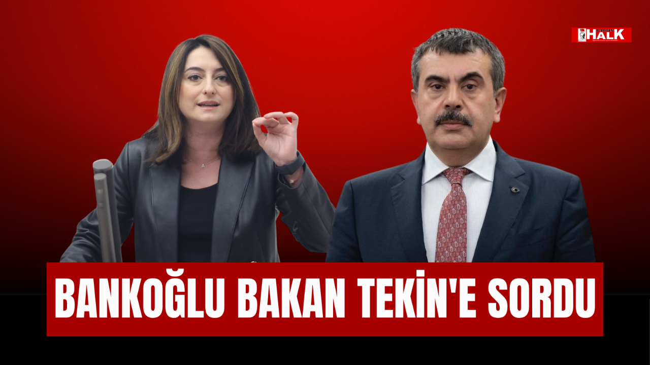 Bankoğlu Bakan Tekin'e Sordu