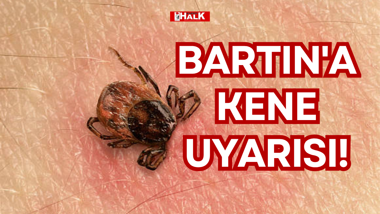 BARTIN'A KENE UYARISI!