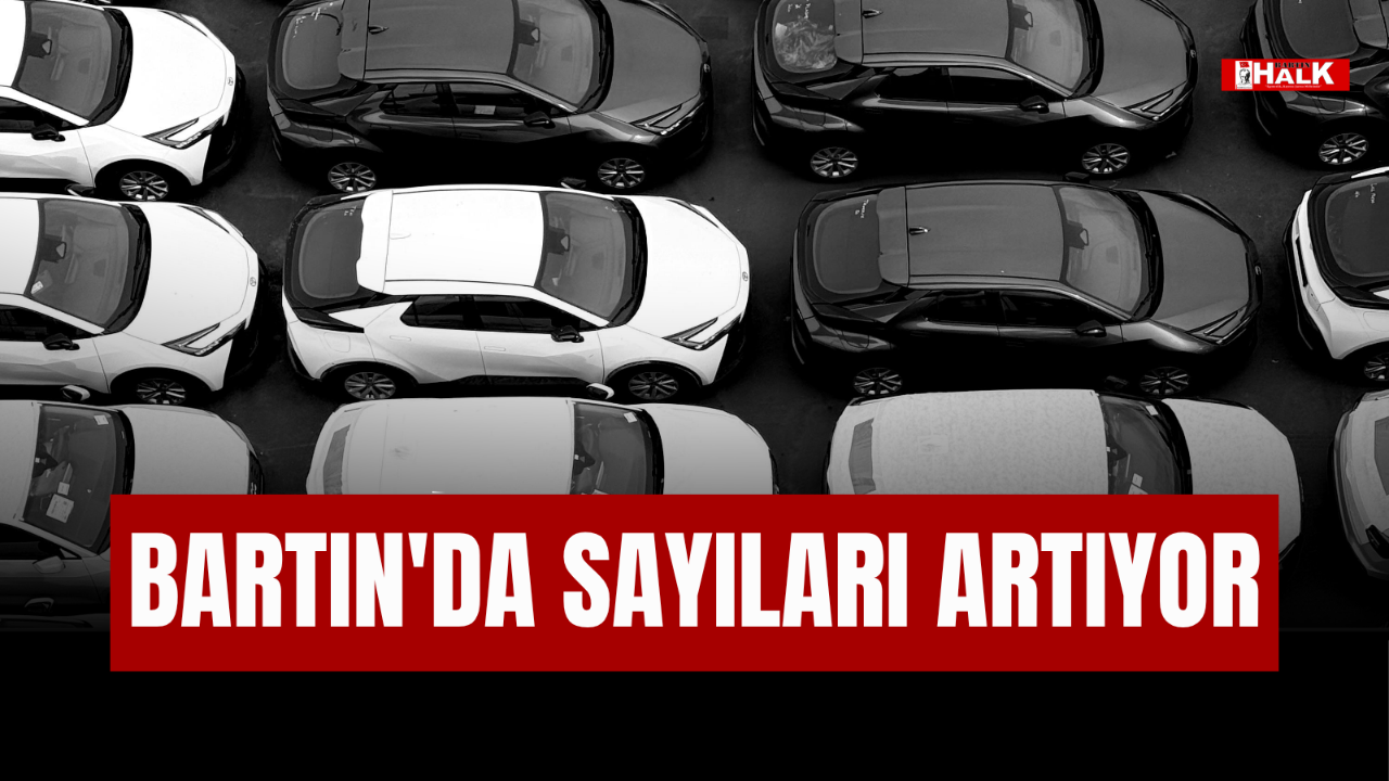 Bartın'da sayıları artıyor
