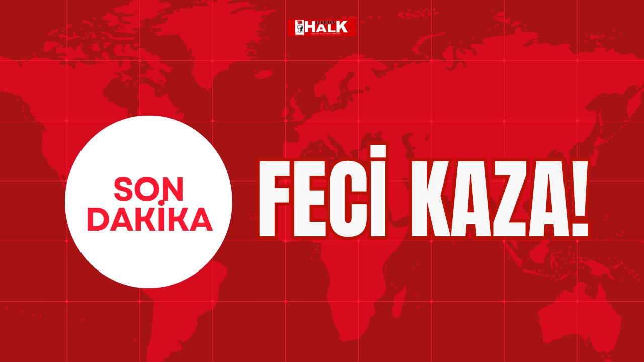 Feci kaza!