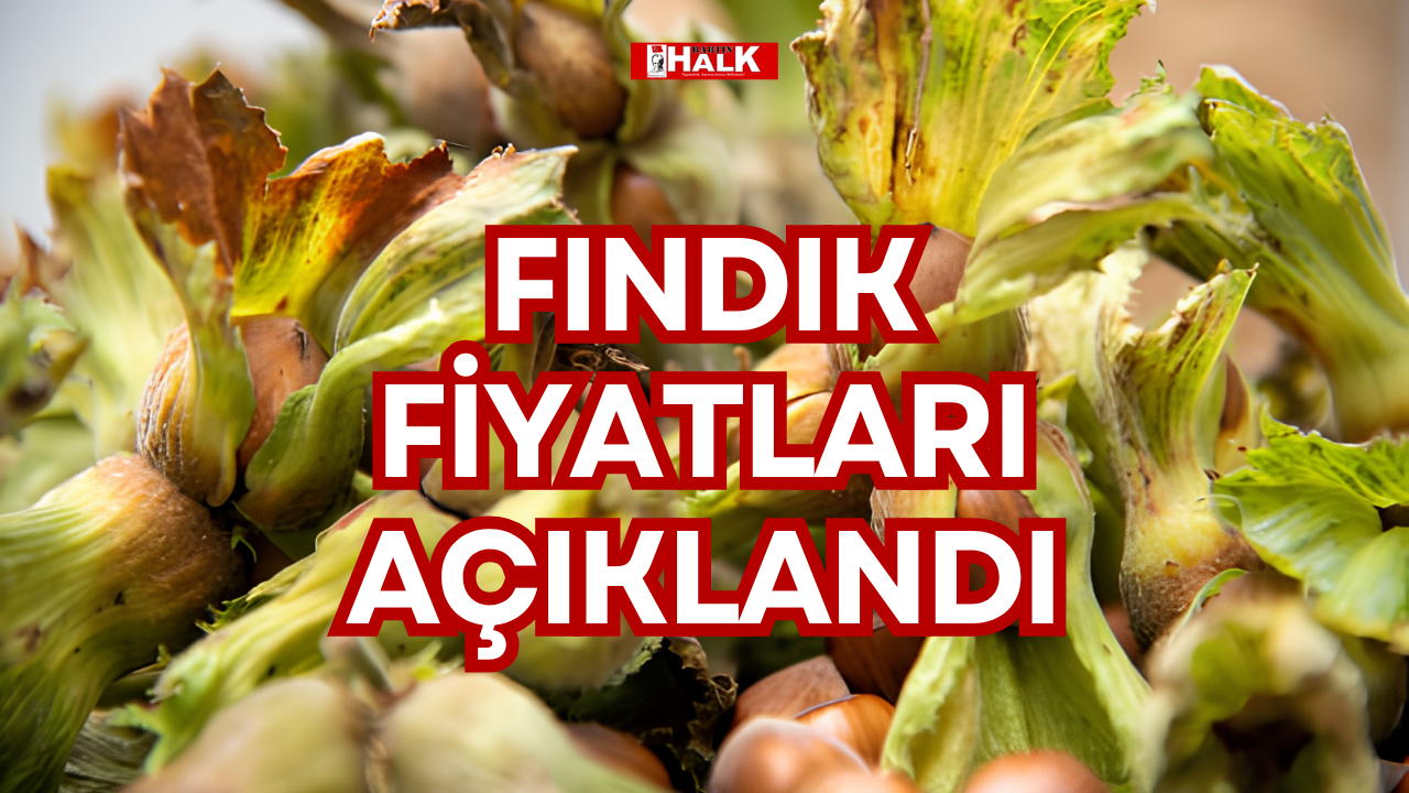 FINDIK FİYATLARI AÇIKLANDI