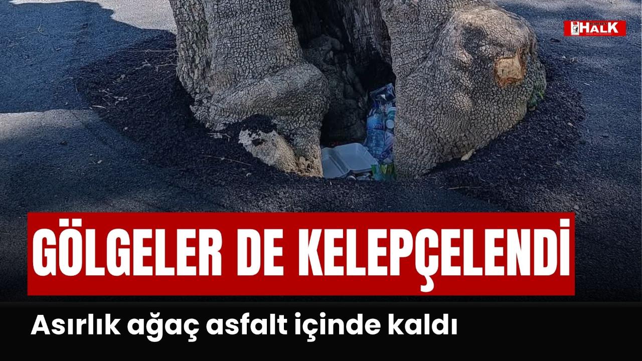 Gölgeler de kelepçelendi