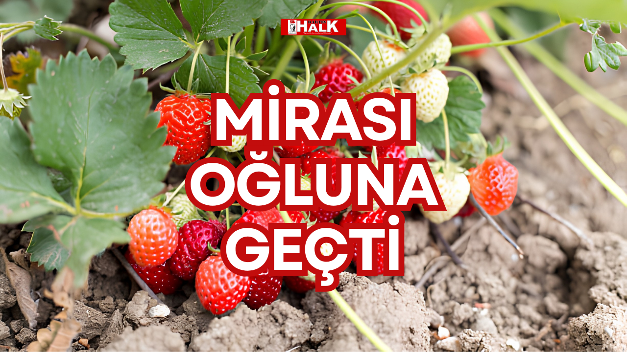 MİRASI OĞLUNA GEÇTİ