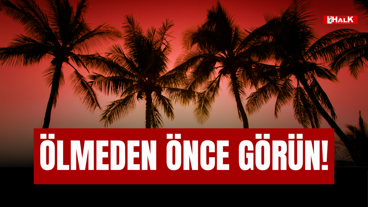 ÖLMEDEN ÖNCE GÖRÜN!