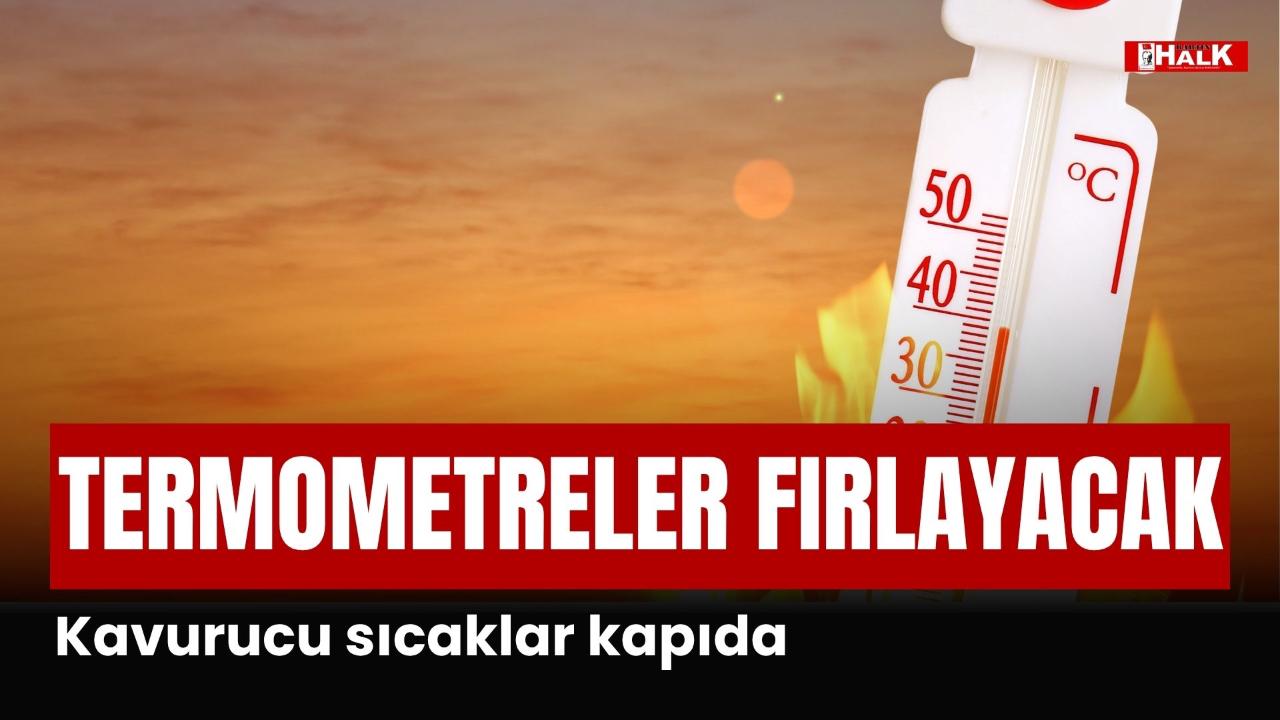 Otomatik Taslak