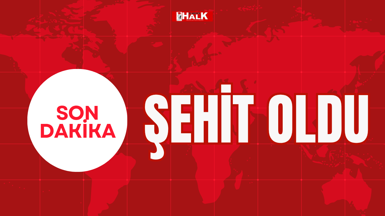 Şehit oldu