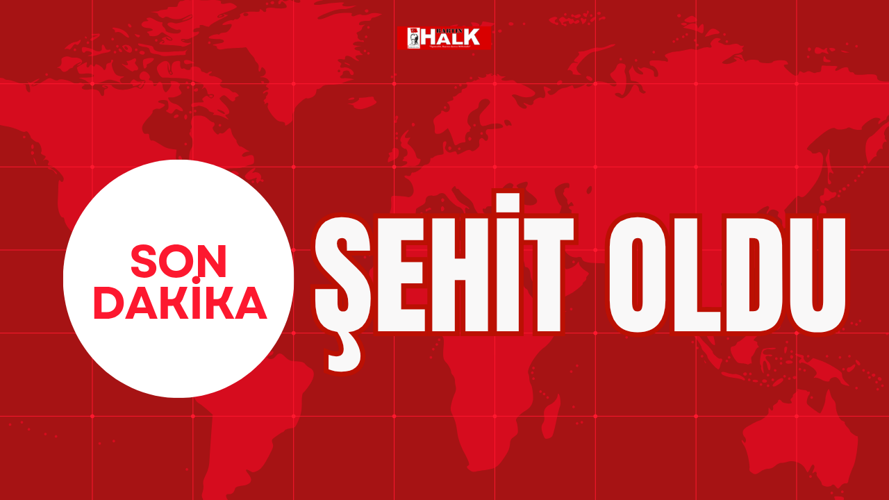 Şehit oldu