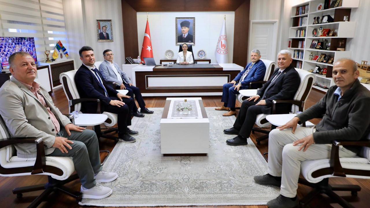 Vali ile istişare ettiler