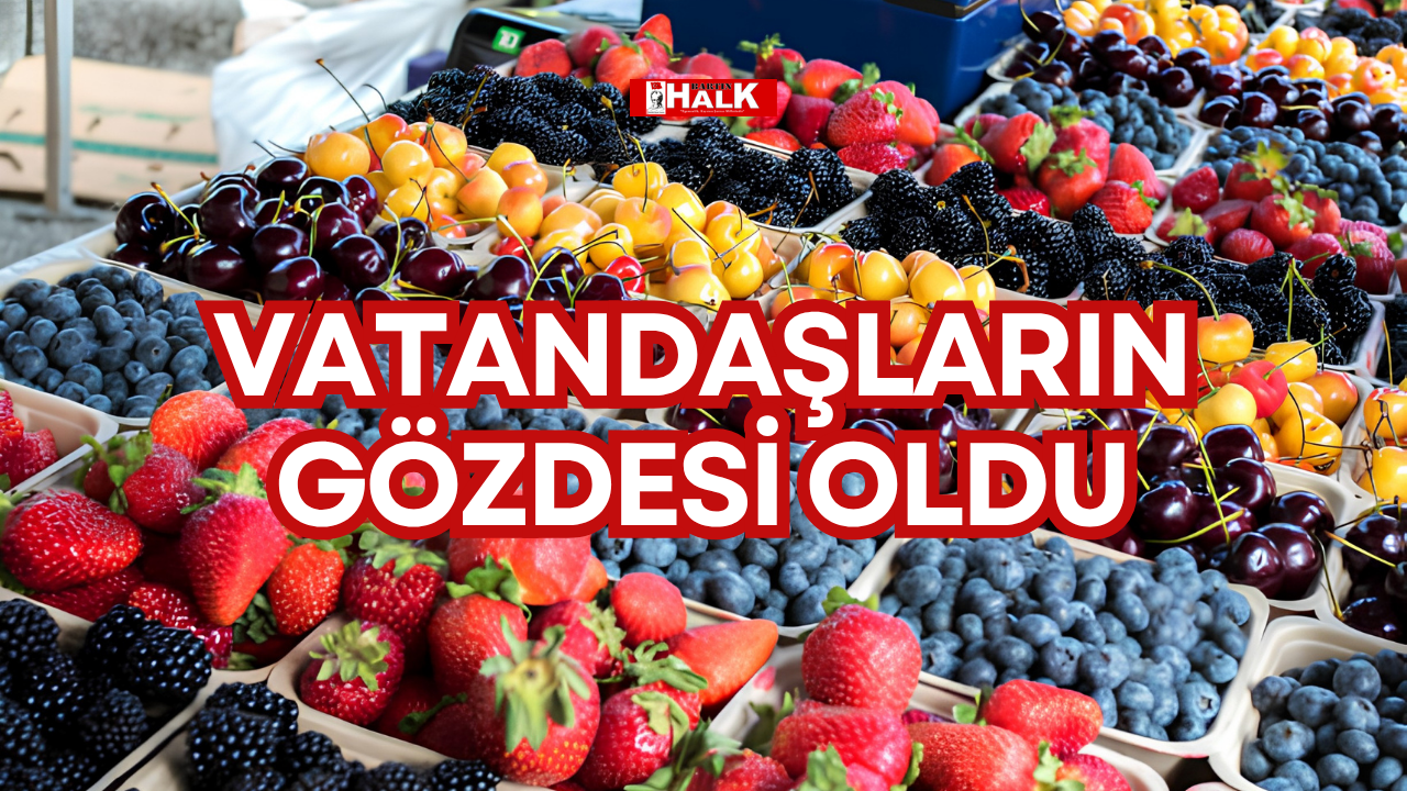 Vatandaşların gözdesi oldu