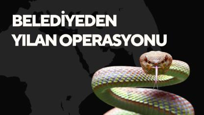 BELEDİYEDEN YILAN OPERASYONU