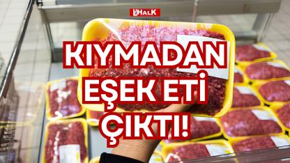 KIYMADAN EŞEK ETİ ÇIKTI!