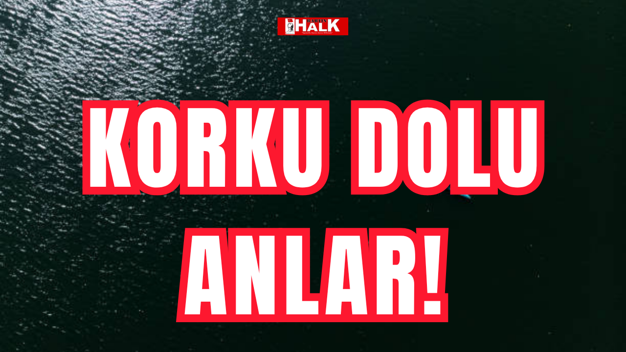 Korku dolu anlar!