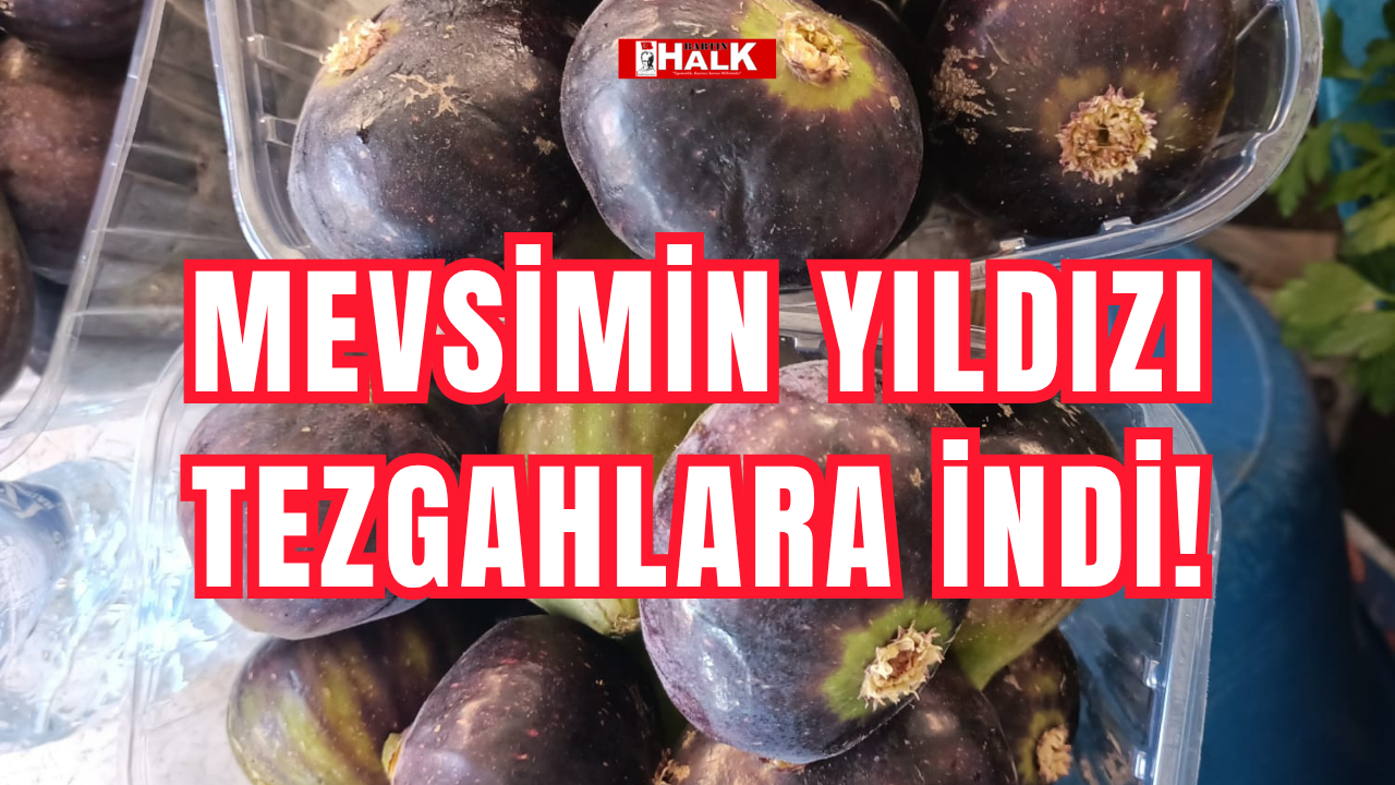 Mevsimin yıldızı tezgahlara indi!