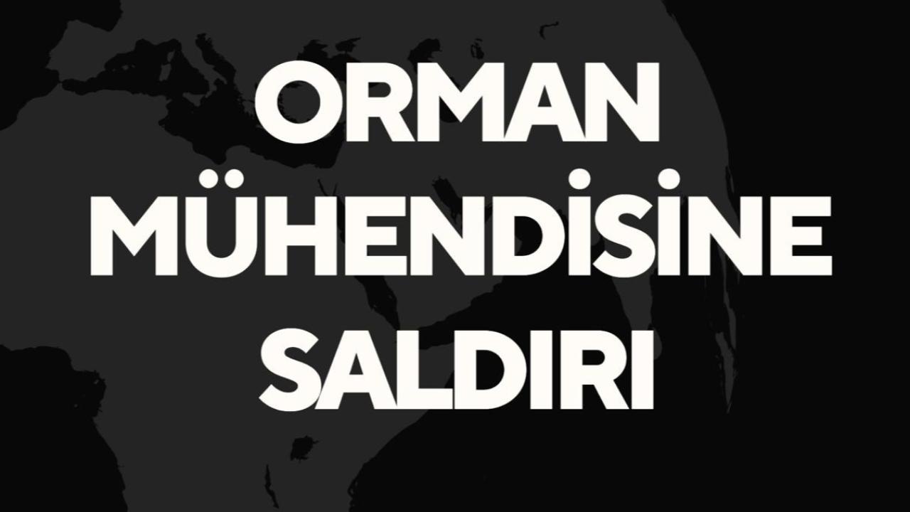 Orman mühendisine saldırı