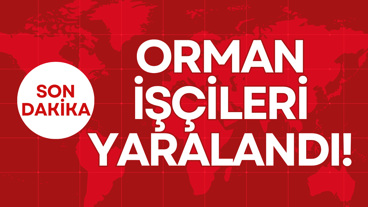 Otomatik Taslak