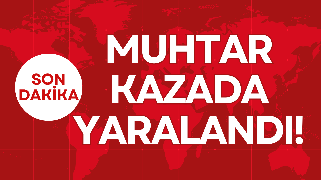 Otomatik Taslak
