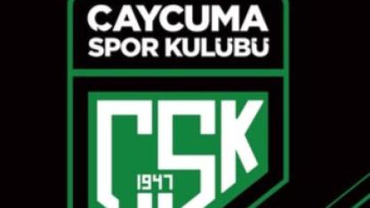 Şenan Kerçin önemli açıklamlarda bulundu