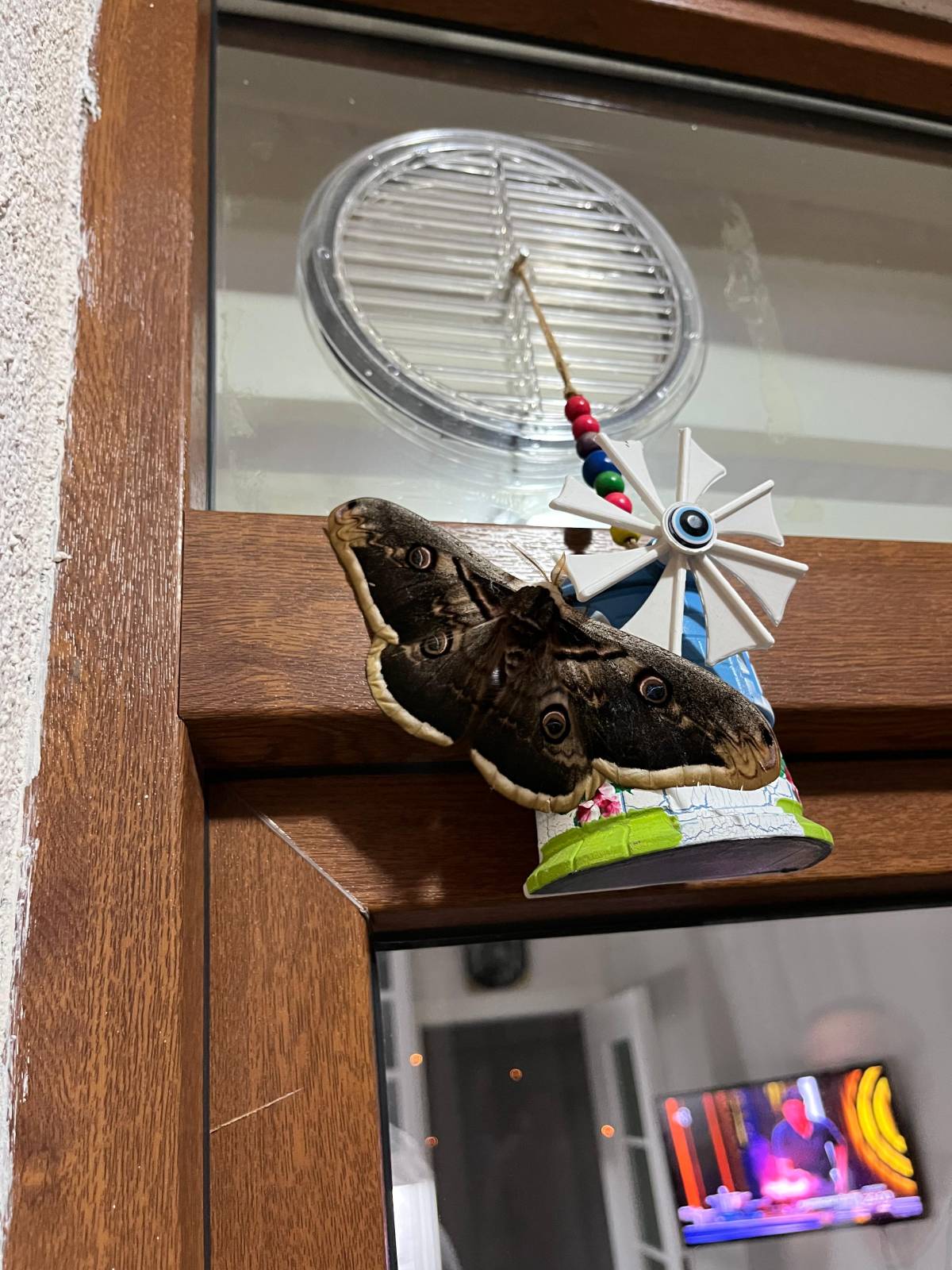 Görsel