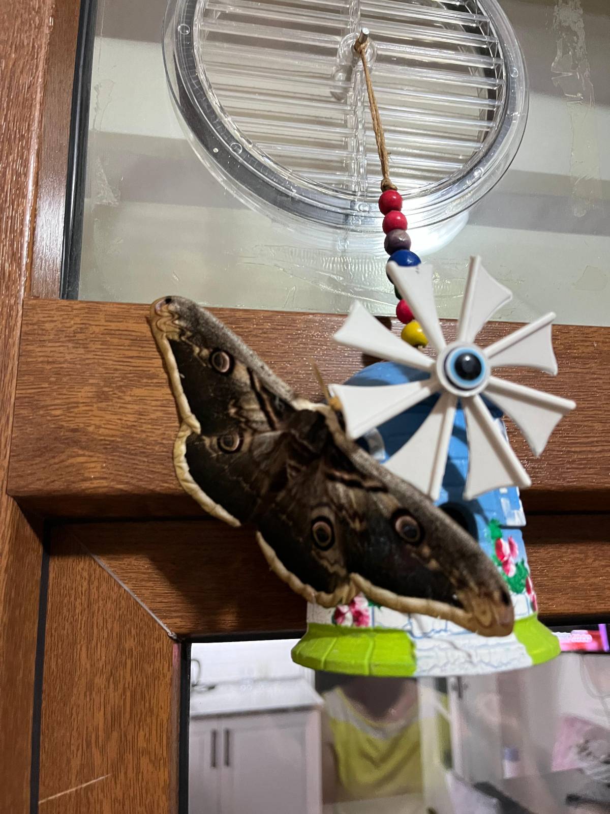 Görsel