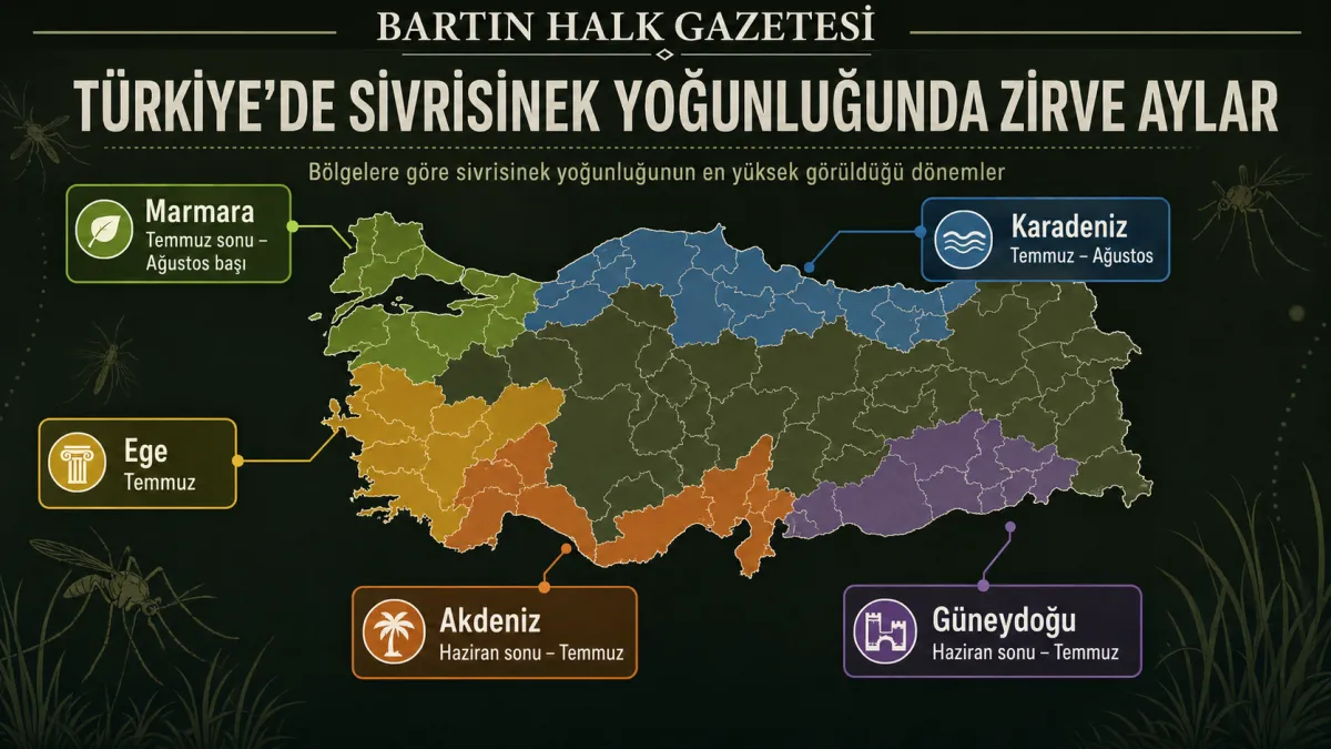 BU AYLARA DİKKAT!